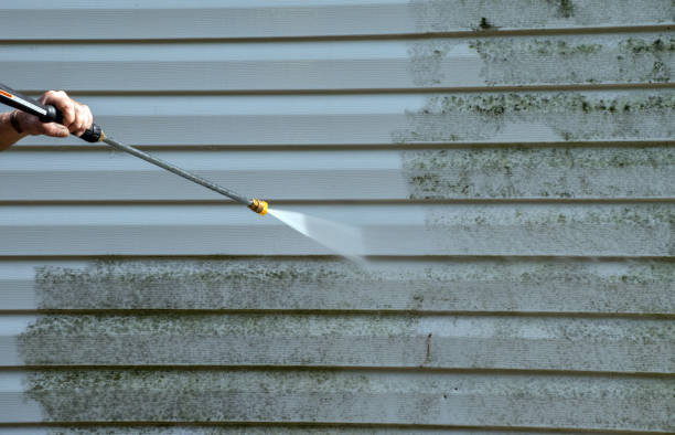 Best Exterior Home Cleaning  in Spearfish, SD